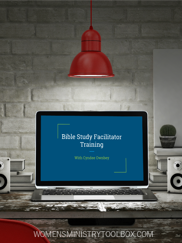 Need help with your Bible study group? Help is here! The Bible Study Facilitator Training is just what you need!